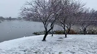 Mueller Lake Park in Austin Texas