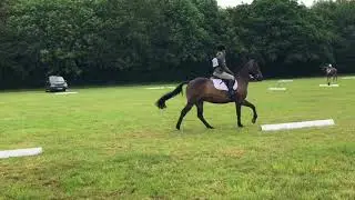 Pony club grassroots dressage test 2018