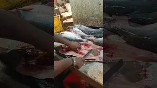 🔥😱 Amazing Pangas Fish Cutting Skills 😳😱 #fish #fishcutting #skills #shorts #viralshorts #trending