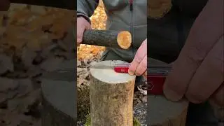 Genius Life Hack: How to Split a Log with a Small Knife. #survival #campping #lifehacks