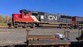 CN L567 North at Cook MN with CN 5426 and DMIR 502