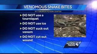 Beaver County man dies from snake bite