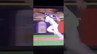 The moment Mariners' fans believed it was possible 😮😎👏 #mlb #baseball #shorts