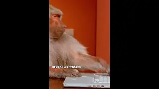 What is the infinite monkey theorem?