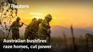 Australian bushfires raze homes, cut power to tens of thousands | REUTERS