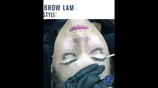 Brow Lamination Online Course!