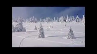 Smrekovica