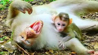 Poor newborn big when to see mom tired