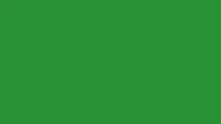 LUSH PARADISE COLOR SCREEN 5 MINUTES #288C39 NO SOUND #colors #colorscope