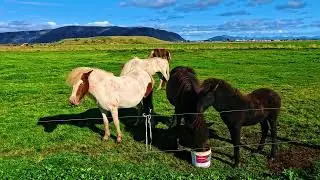 Nordic Travel Diaries | Iceland & Norway - Road to Diamond Beach