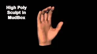 Hand Turnaround