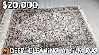Premium Silk Rug Cleaning: ASMR Experience | Deep Cleaning