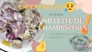 &iquest;C&oacute;mo hacer un omelette de champi&ntilde;ones? | con champi&ntilde;ones del p&aacute;ramo (Kallampas).