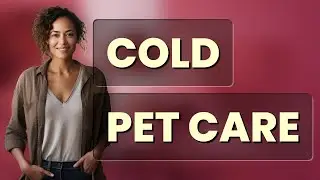 How Should You Care for Pets in Cold Weather?
