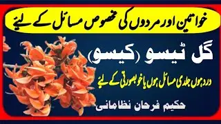 Benefits of Gul e Tesu || Palash || Tesu Flower || For Men and women || Hakeem Farhan Niz