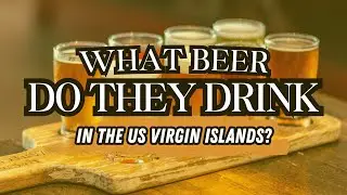 Which BEER Reigns Supreme in the US Virgin Islands?