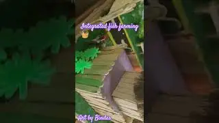 Integrated fish farming 🧺|aquaculture project|recycling waste materials#artbybindas#ytshorts