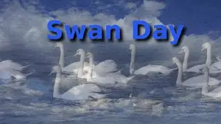 Philip Stewart Swan Day