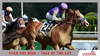 Stan The Man - 2020 - The Tale of the Cat