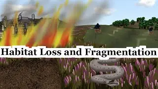 What Are Habitat Loss and Fragmentation? Examples Using Impacts on UK Reptiles | Scientific Concepts