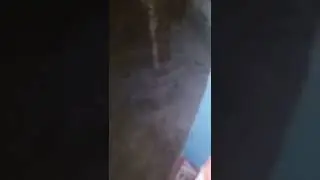 tando allahyar me halki bonda bandi @kana dish tv(2)