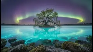 Secret Bioluminescent Oasis: Deep Sleep & Anxiety Relief Music 2026 [Ultra Realistic 8K]