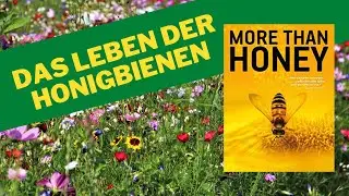 Mehr als Honig &ndash; Eine Dokumentation &uuml;ber die Bedeutung der Bienen.   [more than honey]