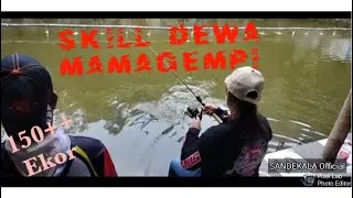 SANDEKALA Junior Feat MAMA GEMPI || Umpan WALLET plus ESSEN TAWON RED BABOON || 150 Ekor ++