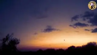 Beautiful view of evening| Simple village life