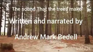 The sound that the trees make by Andrew Mark Bedell