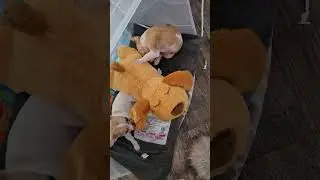 Watch how my puppies react to this calming toy with a heartbeat! #ad