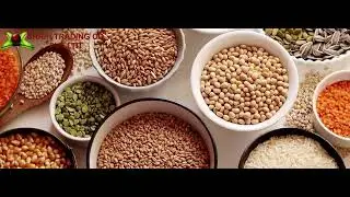 Shrih Trading Co Pvt Ltd Manufacturer, Exporter, Importer, And Bulk Supplier From India