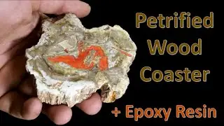 Petrified Wood Coaster- Cut and Polish with Epoxy Resin