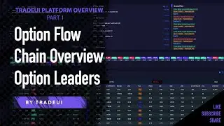 Option Flow, Chain Overview and Option Leaders - TradeUI Platform Overview Part 1