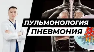 Пневмония / этиология / патогенез / классификация