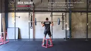 Box Squat - Plyometric Box Training