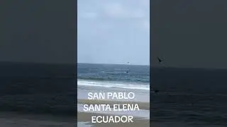 Ballenas apare&aacute;ndose en la orilla - San Pablo Santa Elena 🇪🇨 ecuador