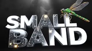 Small band - labil (karaoke) 