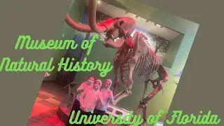 Florida Natural History Museum!