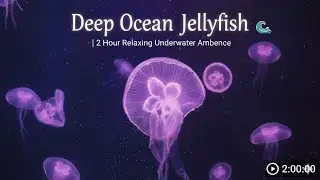 Deep Ocean Jellyfish 🌊 | 2 Hour Relaxing Underwater Ambience
