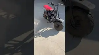 Monster Moto Mini Bike rockin the 212 Predator motor! #minibike #fast #trending #motorcycle #speed