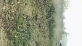 Bamon Farms | Jaka ban die hajan Bamon Farms(Land For sale) | 73000 Sqft/ 28 Rs per sqft