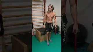 DRAGON FLAG IN HALF LAY SU BOX #sports #calisthenics #tutorial