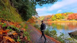 Autumn Walk in Arashiyama, Kyoto 🍁 | Bamboo Grove, Temples & River Path