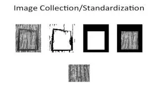 SROP 2015: Tree Bark Recognition using the Local Radius Index