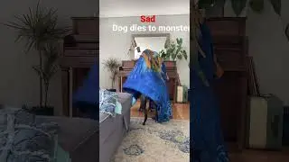 #dog #monster #funny
