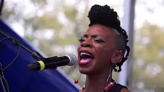 Cole Williams at 2017 Congo Square New World Rhythm Festival