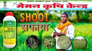 Shoot (2,4-D Amine Salt 58% SL) सफाया