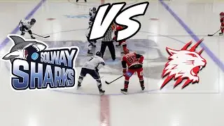 SHARKS V WILDCATS 02 11 25 Основные моменты