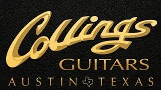 Collings MT2 Birdseye Torrified  ∙ The Mandolin Store